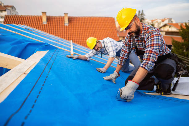 Best Sealant for Roof  in Castle Rock, WA